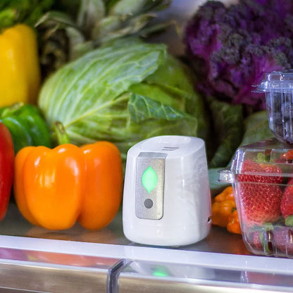 Greentech FRIDGE – Rechargeable Fridge Air Purifier for Fresher Food & Odor-Free Refrigeration