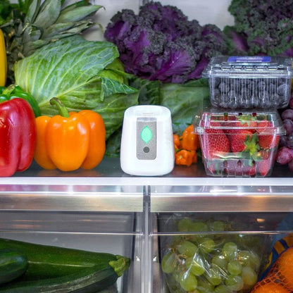 Greentech FRIDGE – Rechargeable Fridge Air Purifier for Fresher Food & Odor-Free Refrigeration